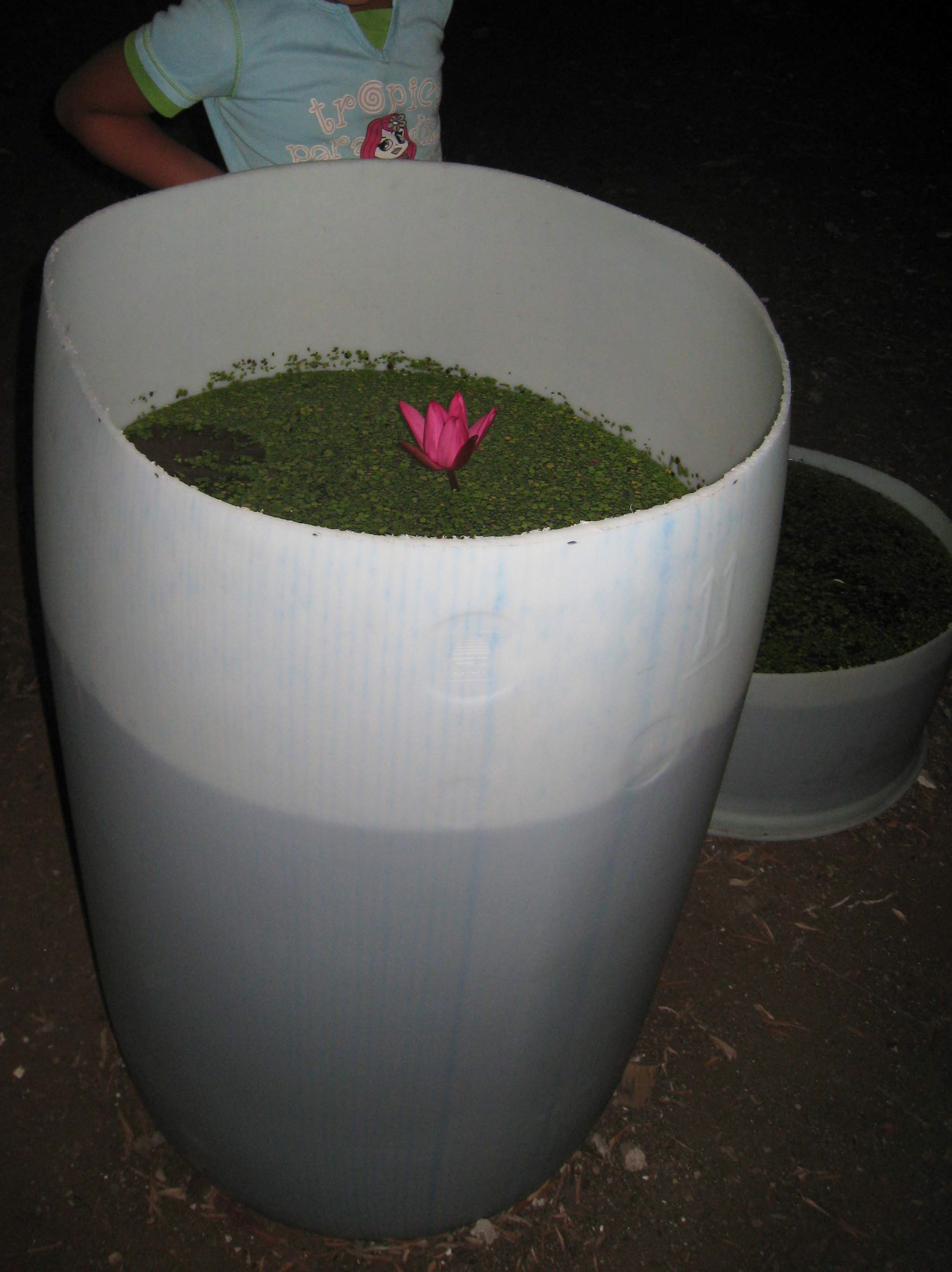 figure 3 - Shapira_edited