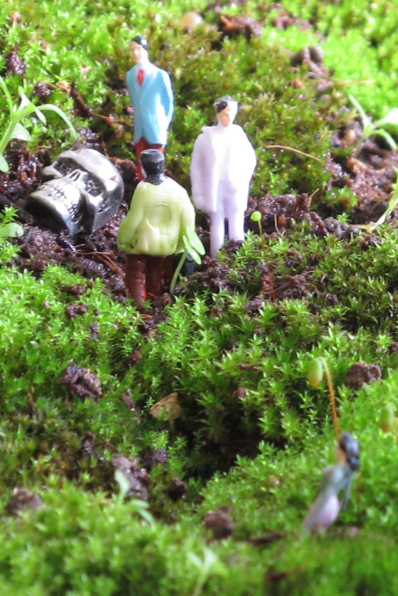 mosscape xx (1) copy