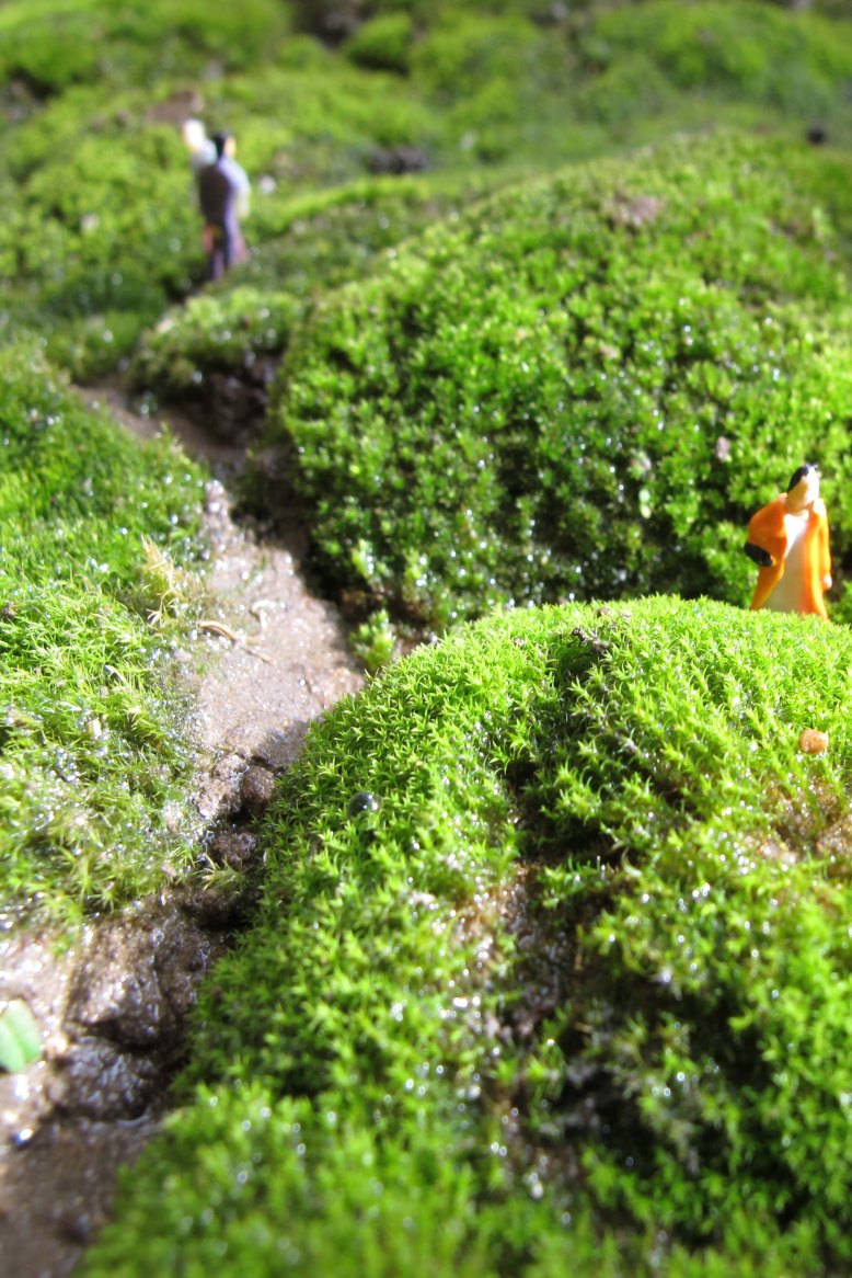 mosscape xx (2) copy